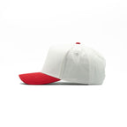 1171 — 5 Panel A-Frame Hat